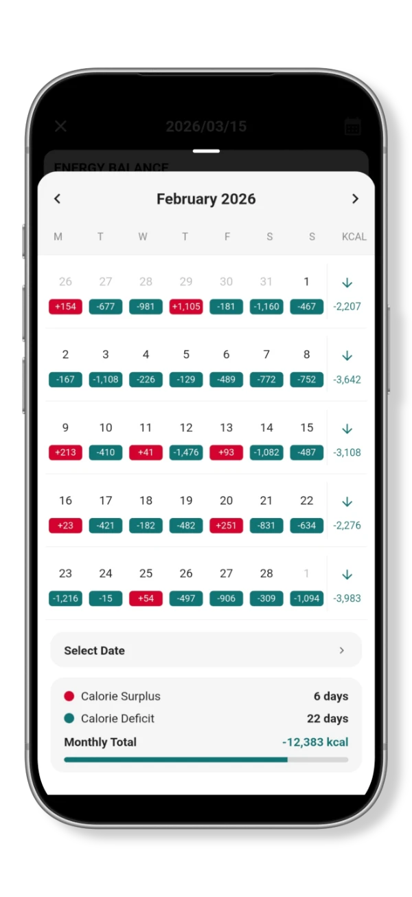 Monthly nutrition calendar showing daily calorie surpluses and deficits, weekly balances and a monthly total